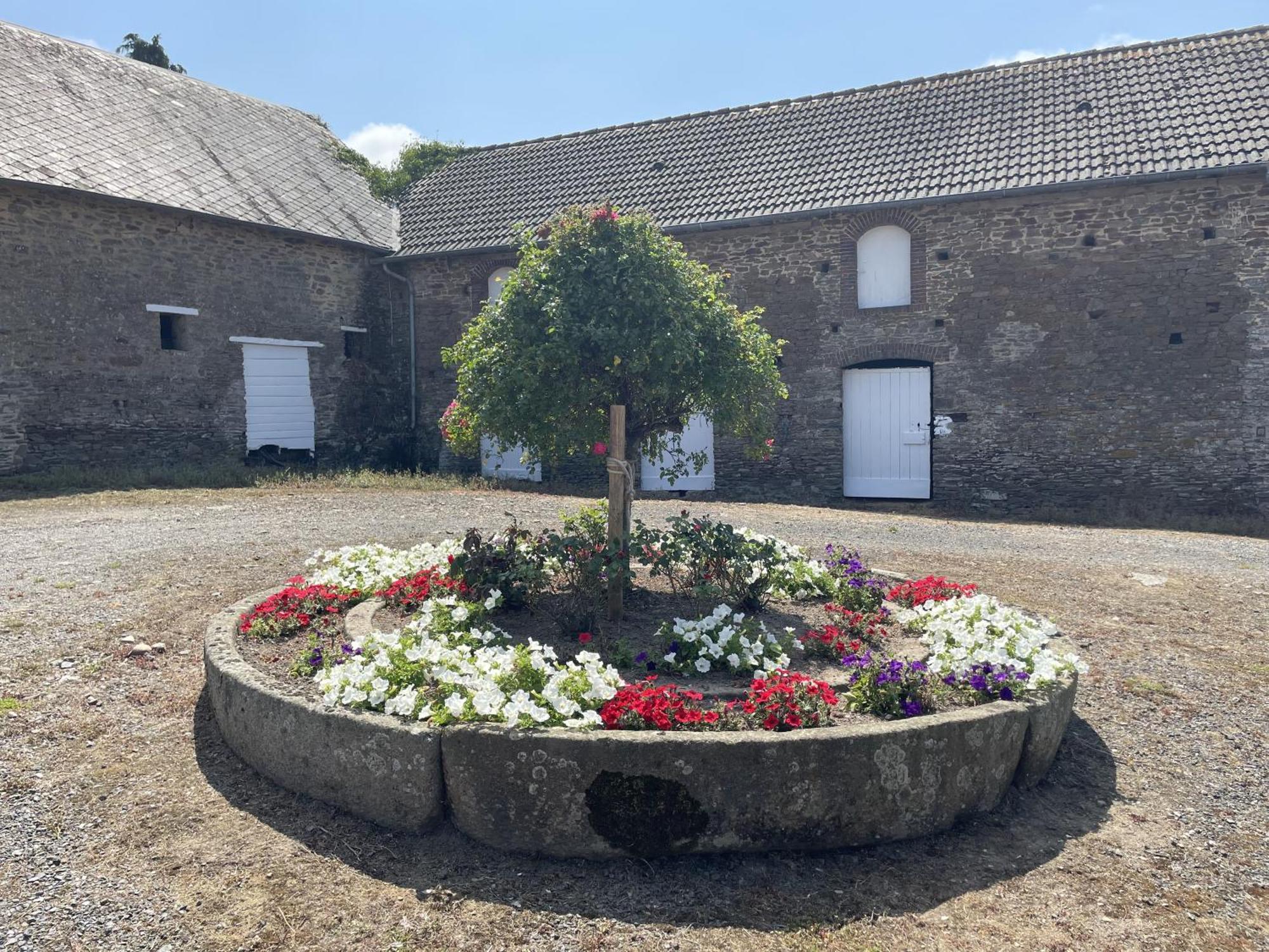 B&B Chambres D'Hotes Ferme Mahyas Saint-Jean-de-Savigny Exterior photo